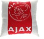 ajax-kussen-40x40-cm