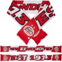 psv-sjaal-est-1913-rood-wit